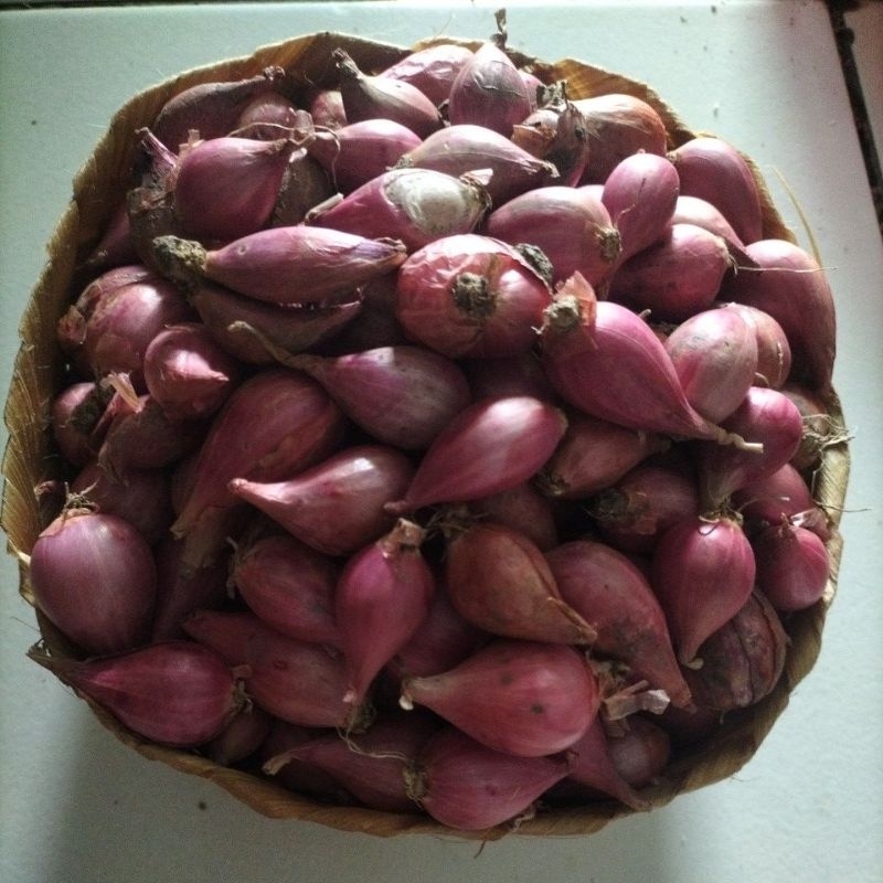

bawang merah