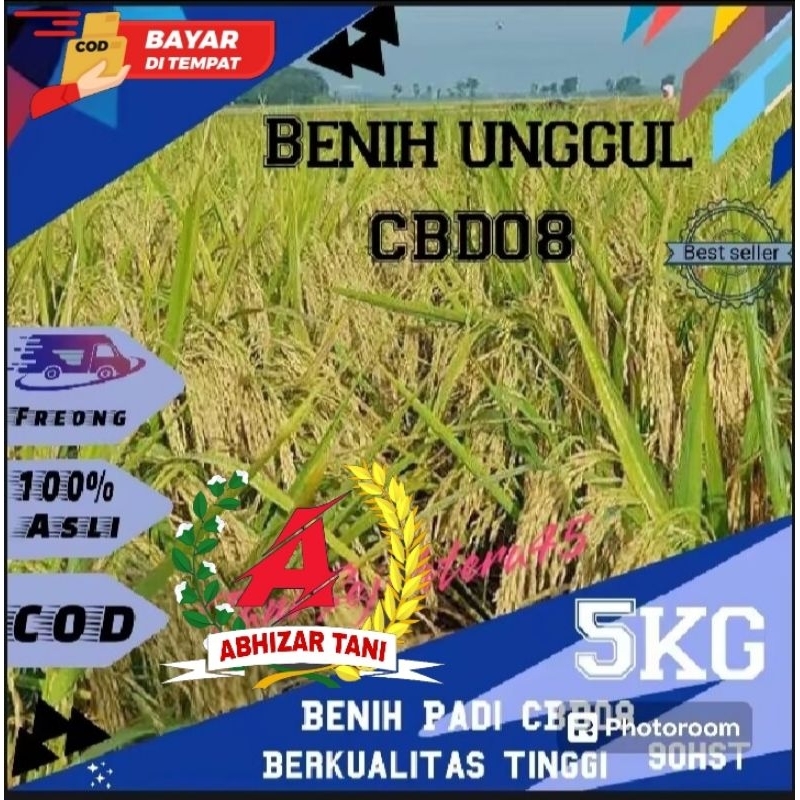 Benih padi unggul CBD 08 Kemasan 5kg
