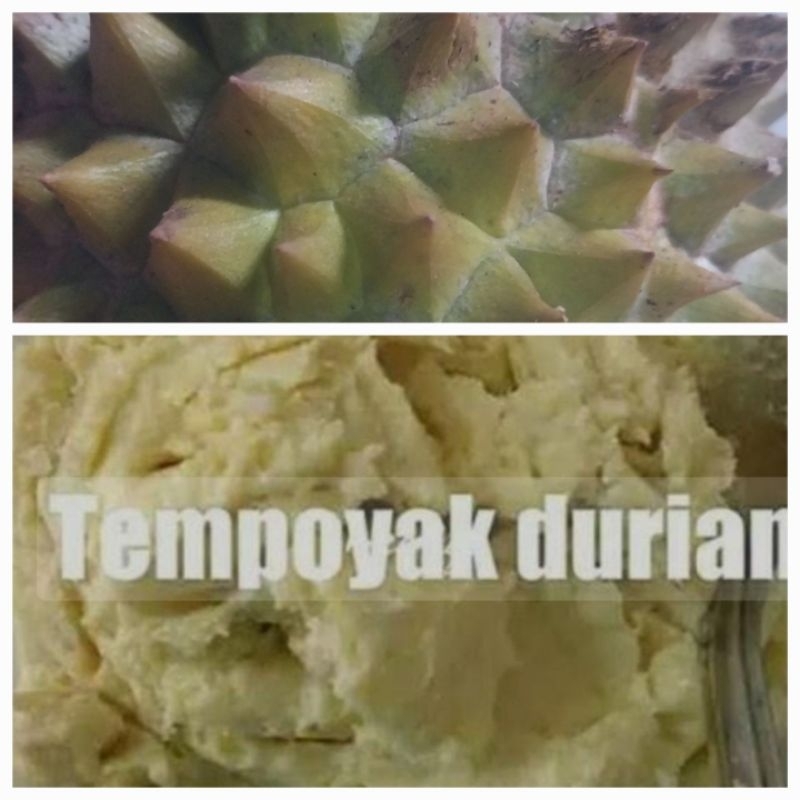 

tempoyak anyar asli komering