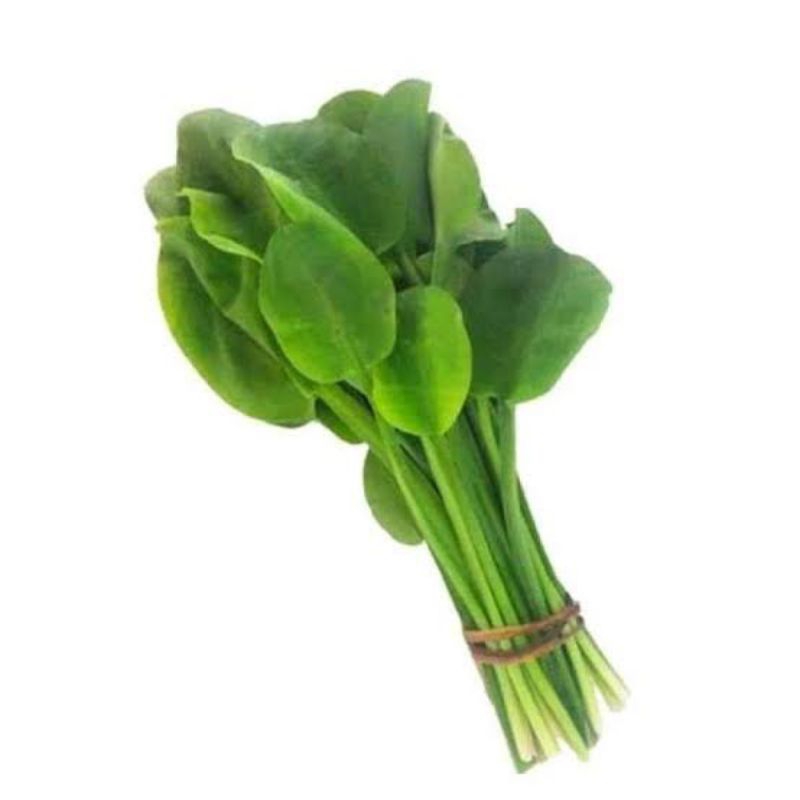 

Sayur Genjer Kualitas Terbaik Dan Murah Dadakan Langsung Dari Kebun