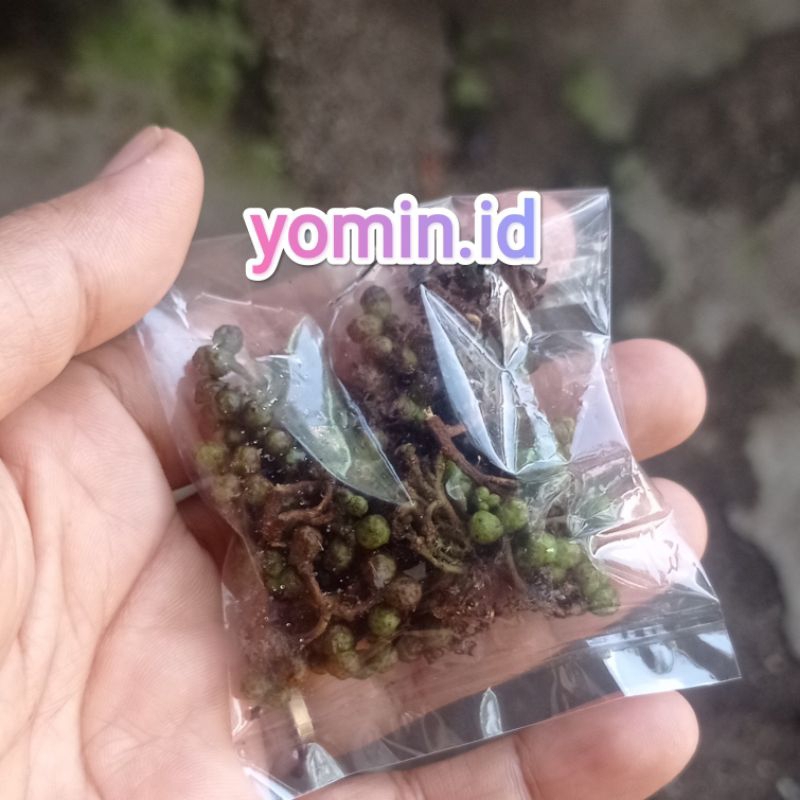 

Andaliman 1x Pakai