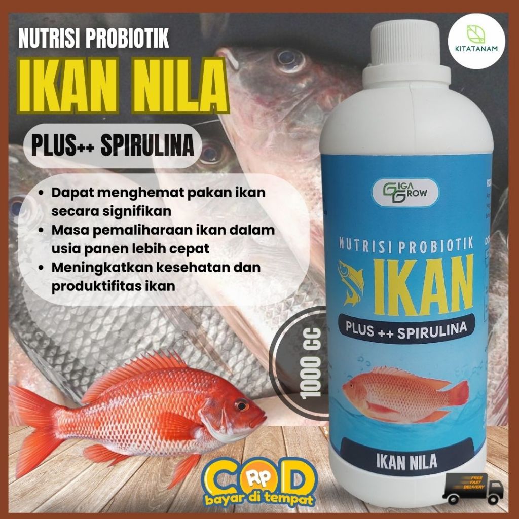 Vitamin Ikan Nila, Nutrisi Probiotik Ikan Nila, GigaGrow