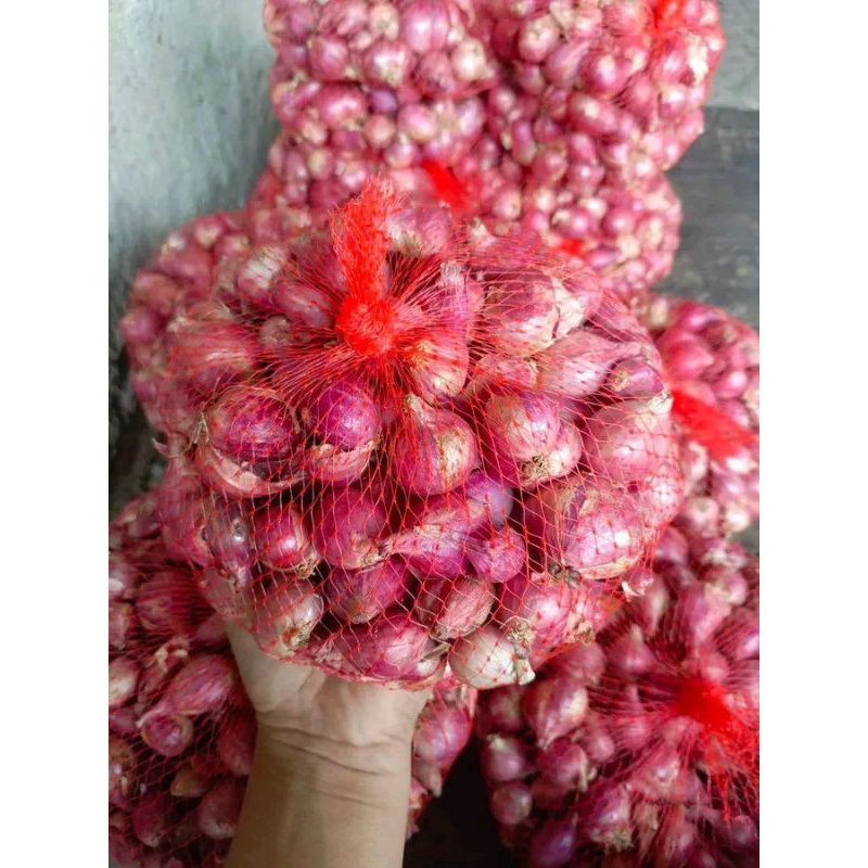 

bawang merah besar berat 500grm
