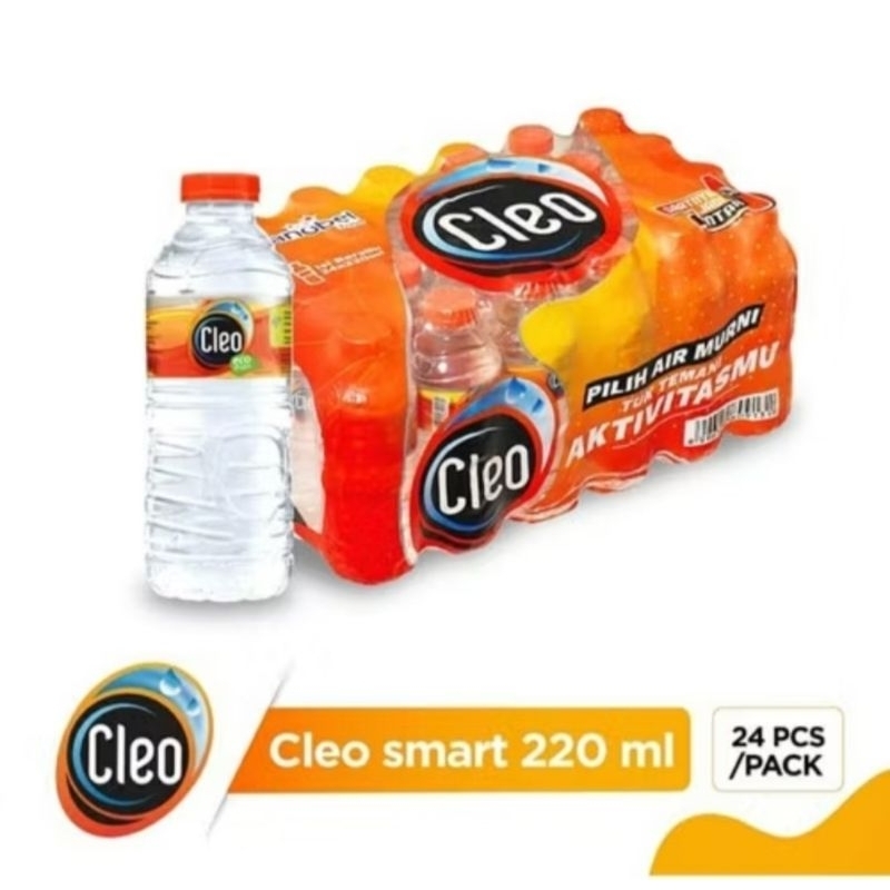 

Air Mineral CLEO, 220 ml isi 24 pcs