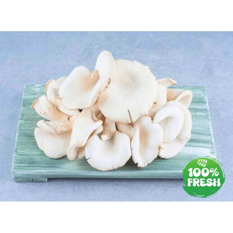 

Jamur Tiram Fress / jamur tiram 100g - 500g