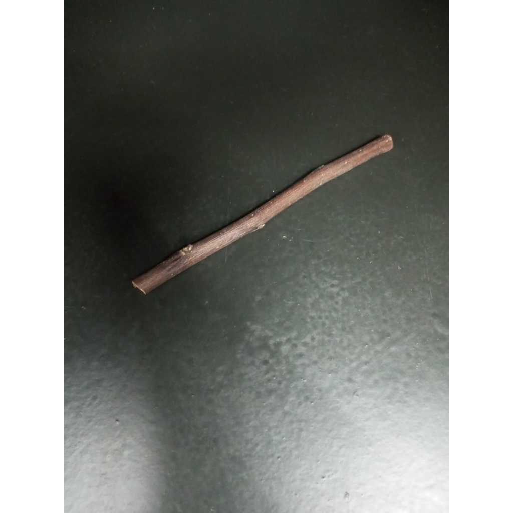 ADEWAP GLIDER Natural Apple Orchard Chew Stick Kayu Apel Gigitan Perawatan Gigi Sugar Glider