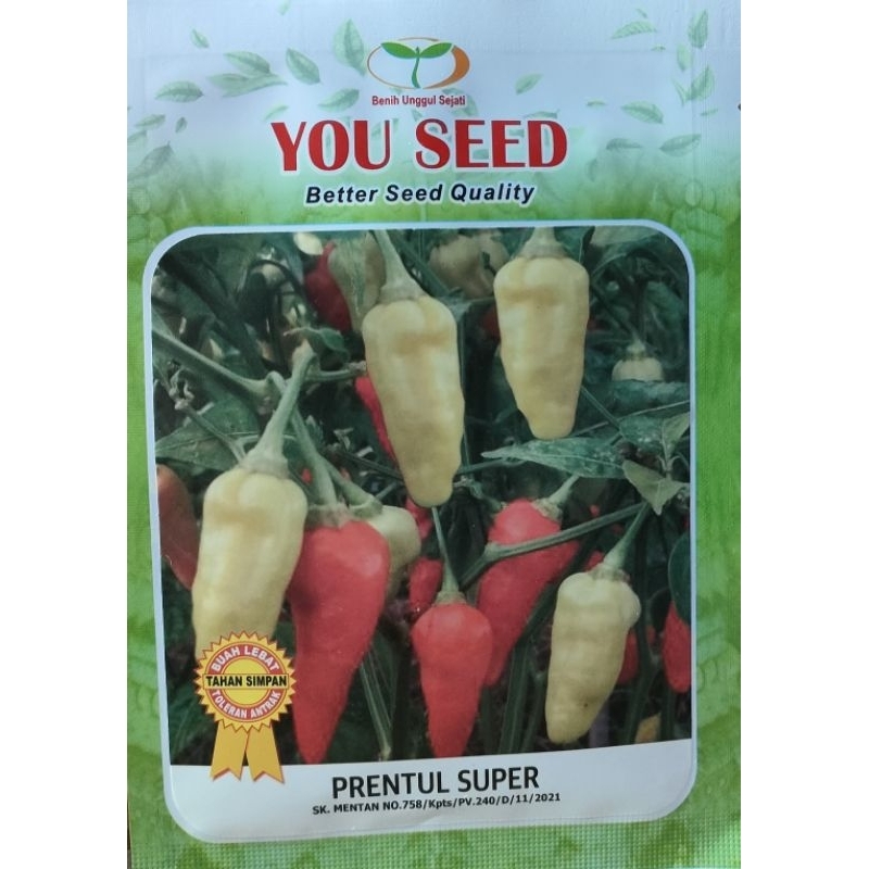 Rawit hybrida SUPER PRENTUL (bisa COD)