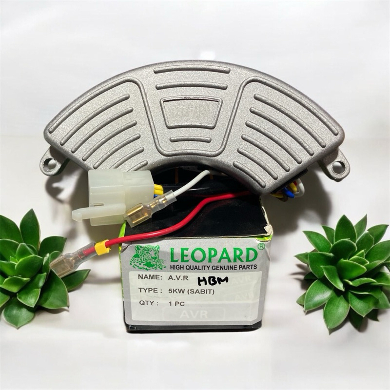 AVR genset 5KW sabit