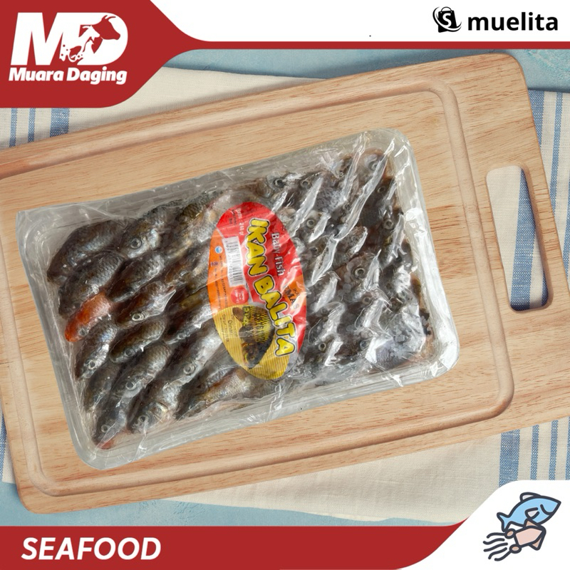 

MD FARM Ikan Mas Balita 240gr - TINGGI PROTEIN & KALSIUM!!
