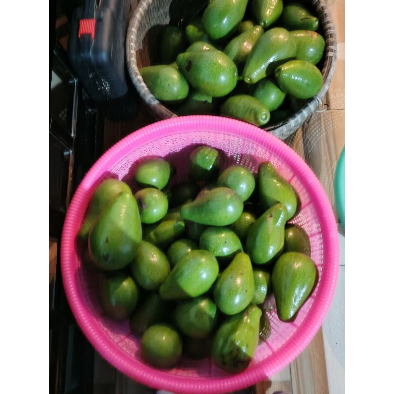 

Alpukat mentega 1kg isi 3-5 pcs