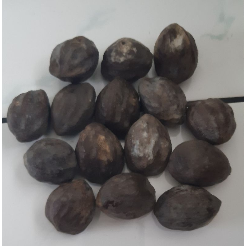 Kemiri Adu Muncang Adu Obral Anak Pedang Pelak Kaliwiro