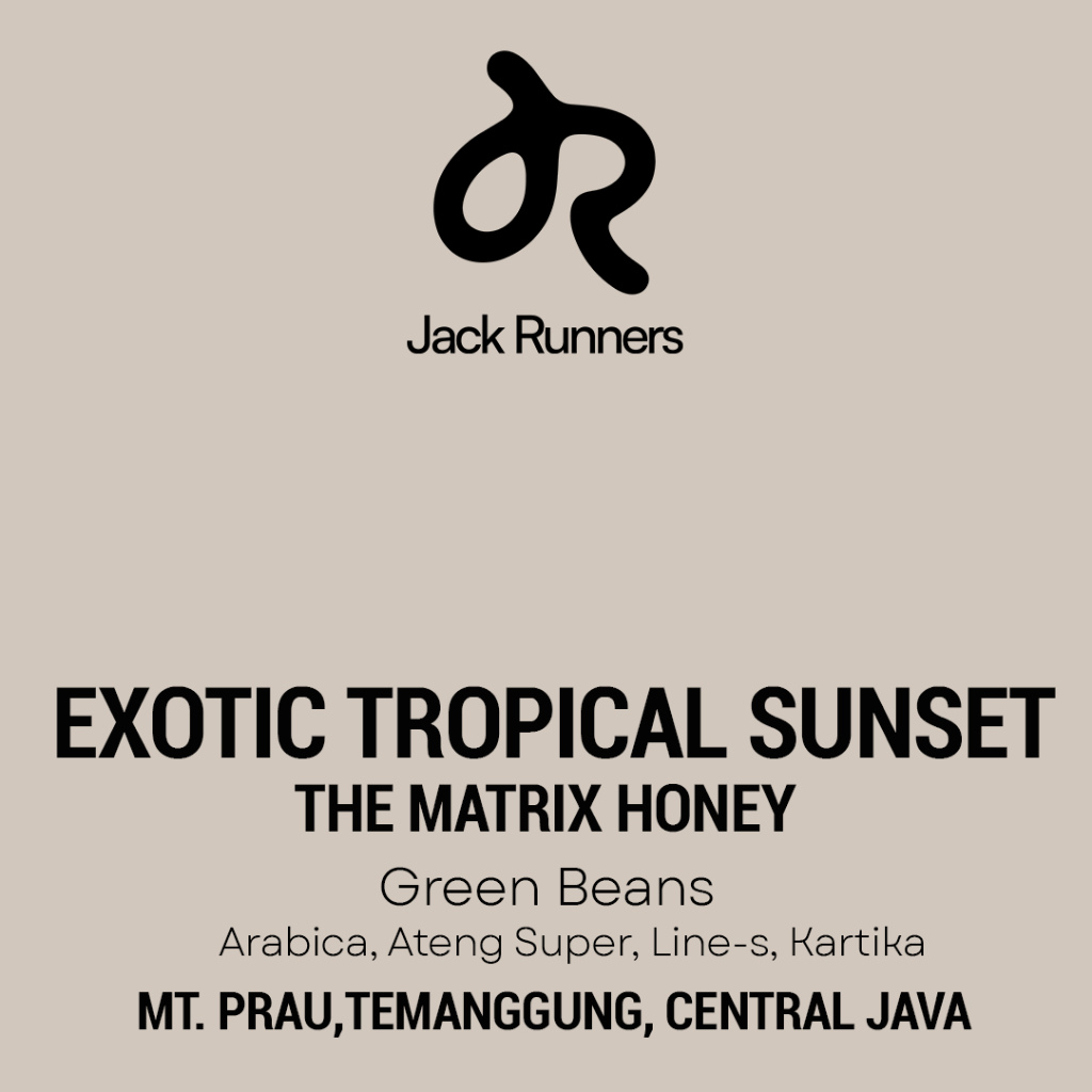 

EXOTIC TROPICAL SUNSET GREEN BEANS COFFEE