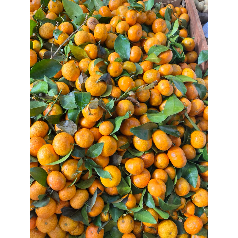 

jeruk santang/ asem manis/harga 1kg