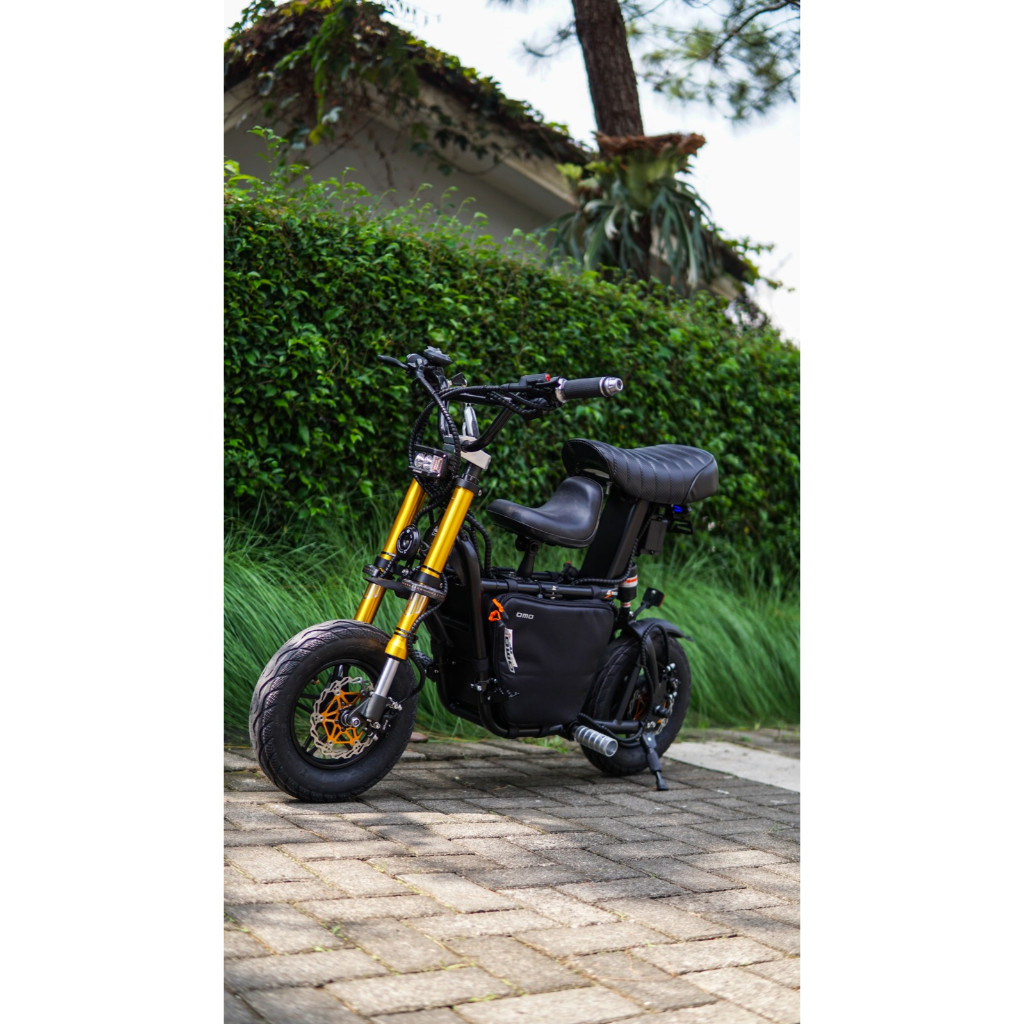 Fiido Q1S Upgrade Black Speed 37KPH