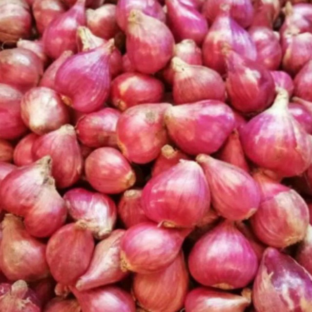 

Bawang Merah Brebes