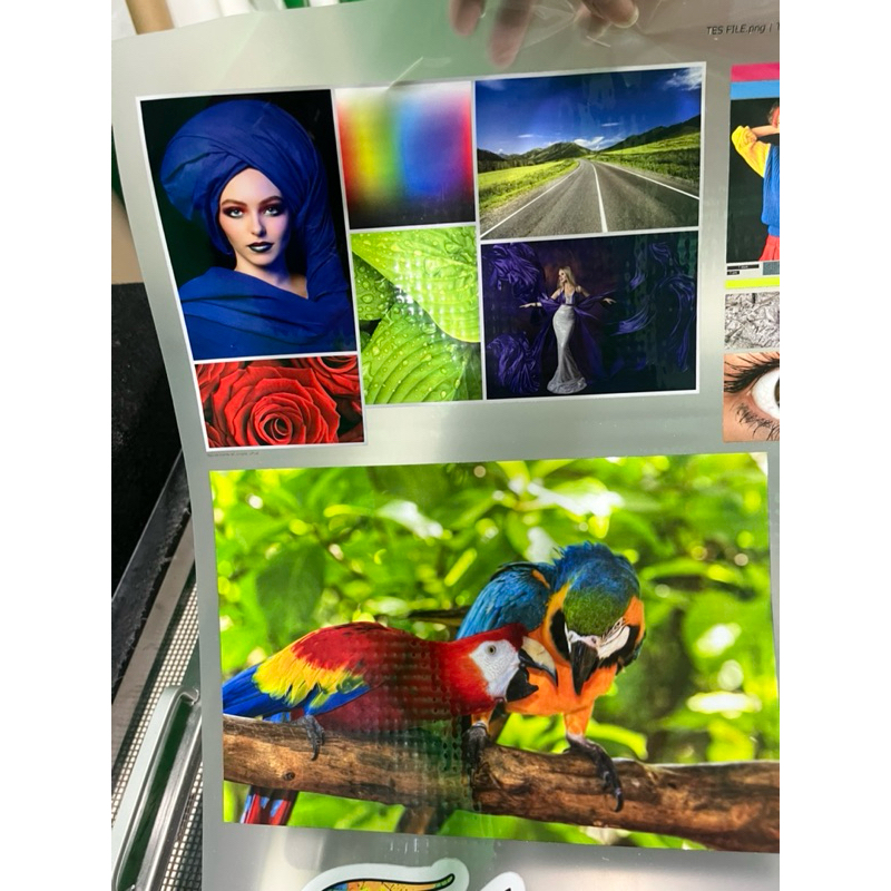 cetak dtf rgb optimized icc profile