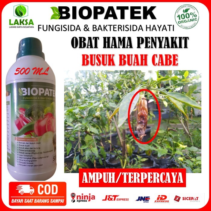 Fungisida Bakterisida Hayati Biopatek Obat Semprot Dapat Mengatasi Busuk Pada Cabe Rawit, Pupuk Fung