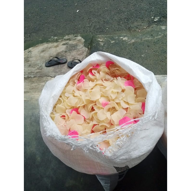 

KARAG | CANTIR SINGKONG