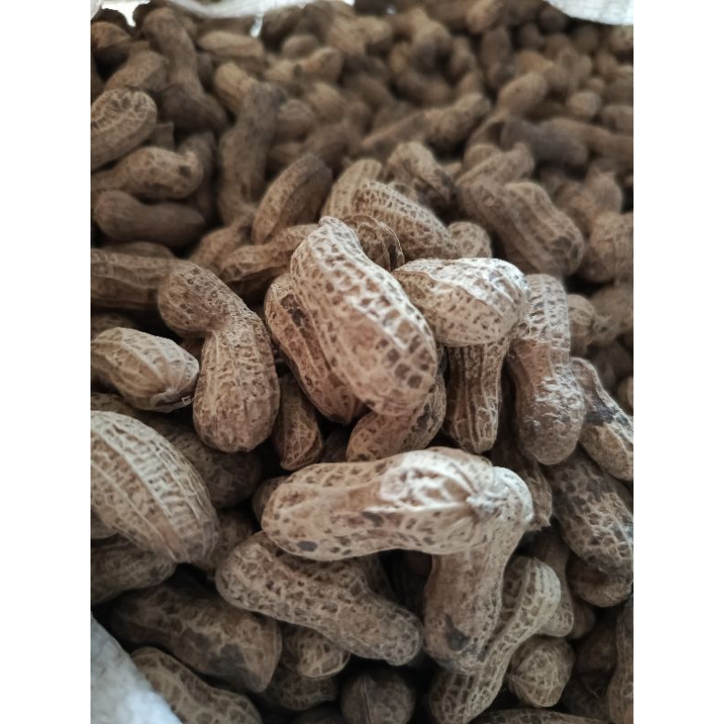 

Kacang kulit Sangrai Lokal 1 Kg