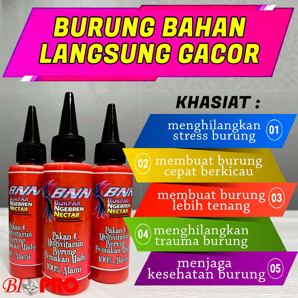 BNN Bukpar Ngebren Nektar AMAN TANPA KROTO UNTUK BURUNG KOLIBRI