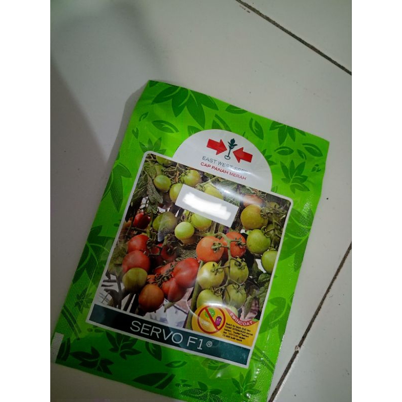 Benih tomat servo F1