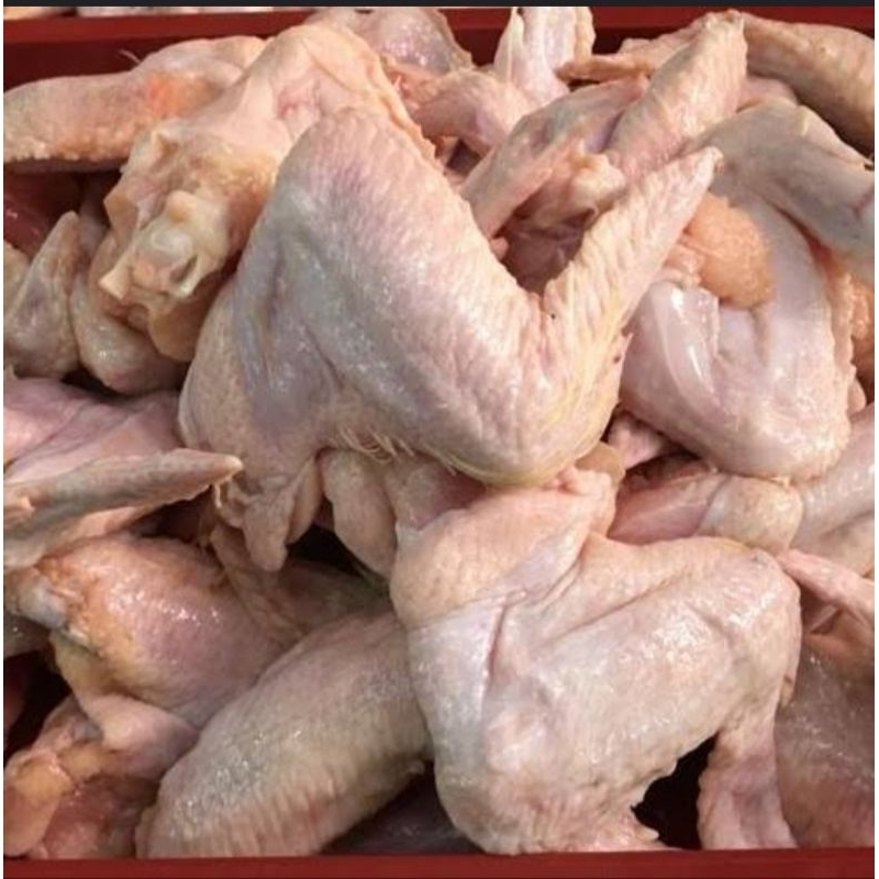 

Sayap Ayam