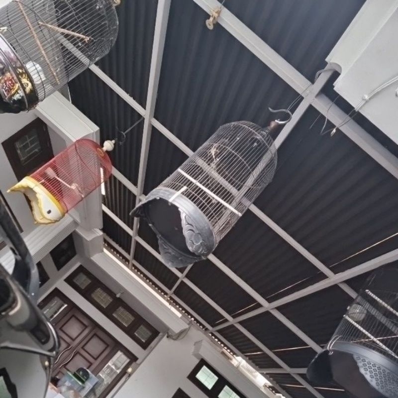 Sangkar burung kandang burung besi bulat