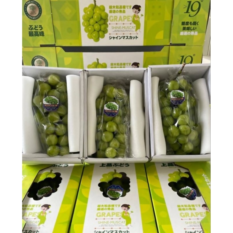 

Anggur Shine Muscat 3kg - khusus kota Medan