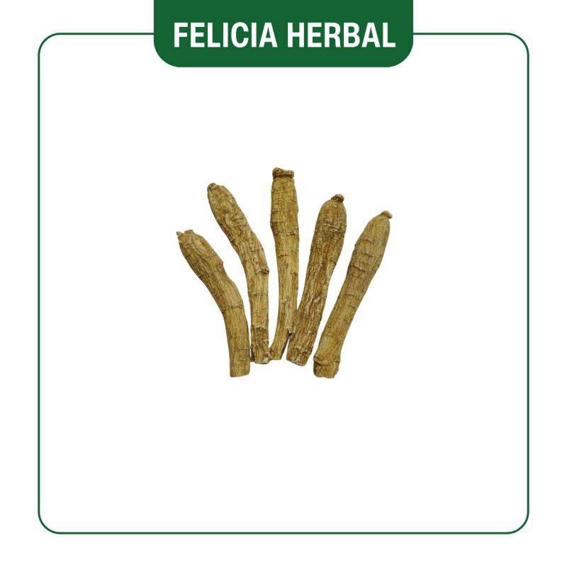 

Ginseng Amerika (Panjang) Utuh/ 移种参 (Panjang) Utuh/ 100gr