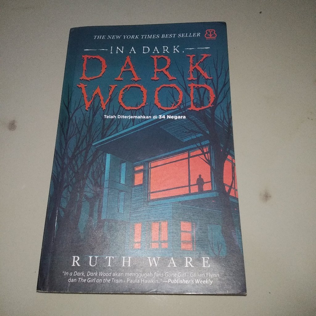 Preloved - In a dark dark brown - Ruth Ware