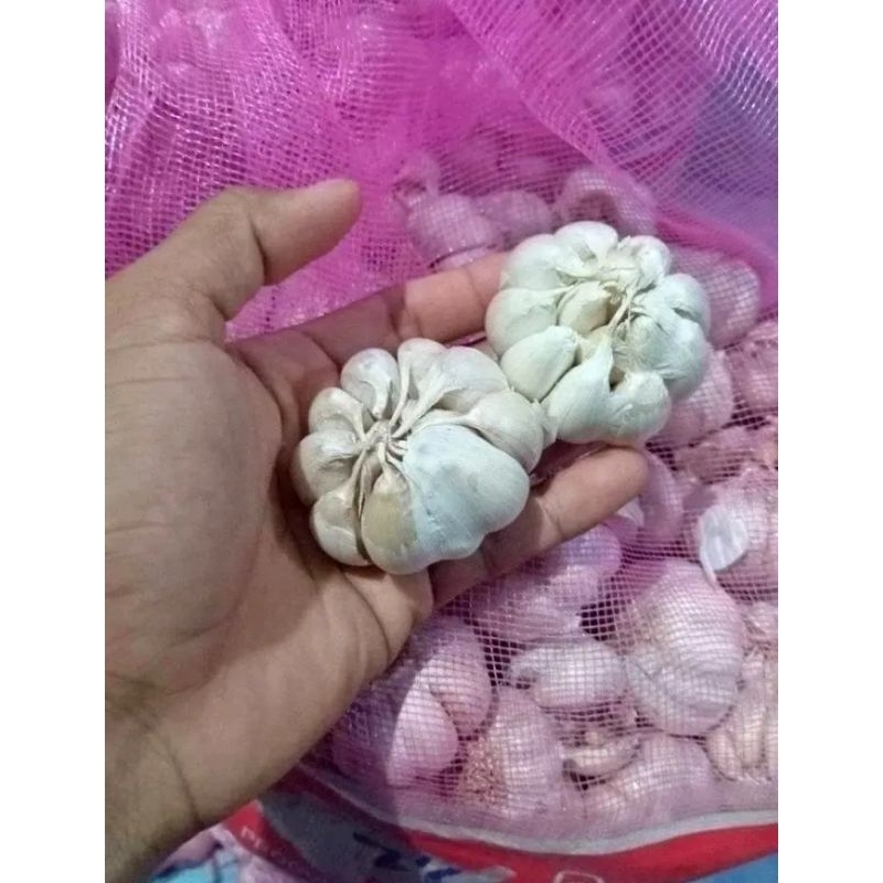 

Bawang putih termurah 1kg fresh