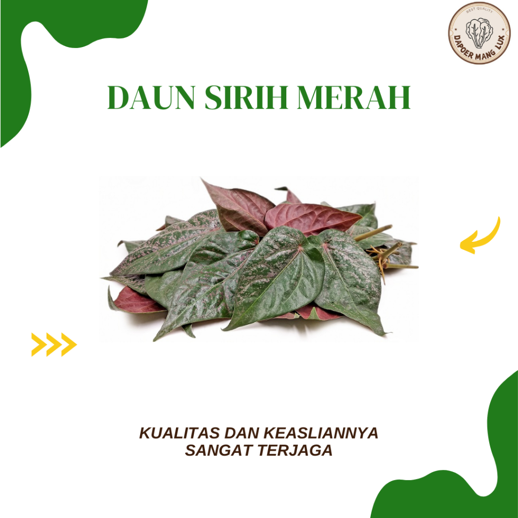 

DRIED SERBUK DAUN SIRIH MERAH BEST SELLER