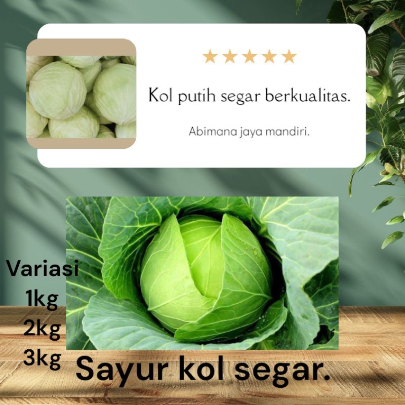 

Kol kubis putih segar dan berkualitas tinggi variasi 1kg 2kg 3kg.