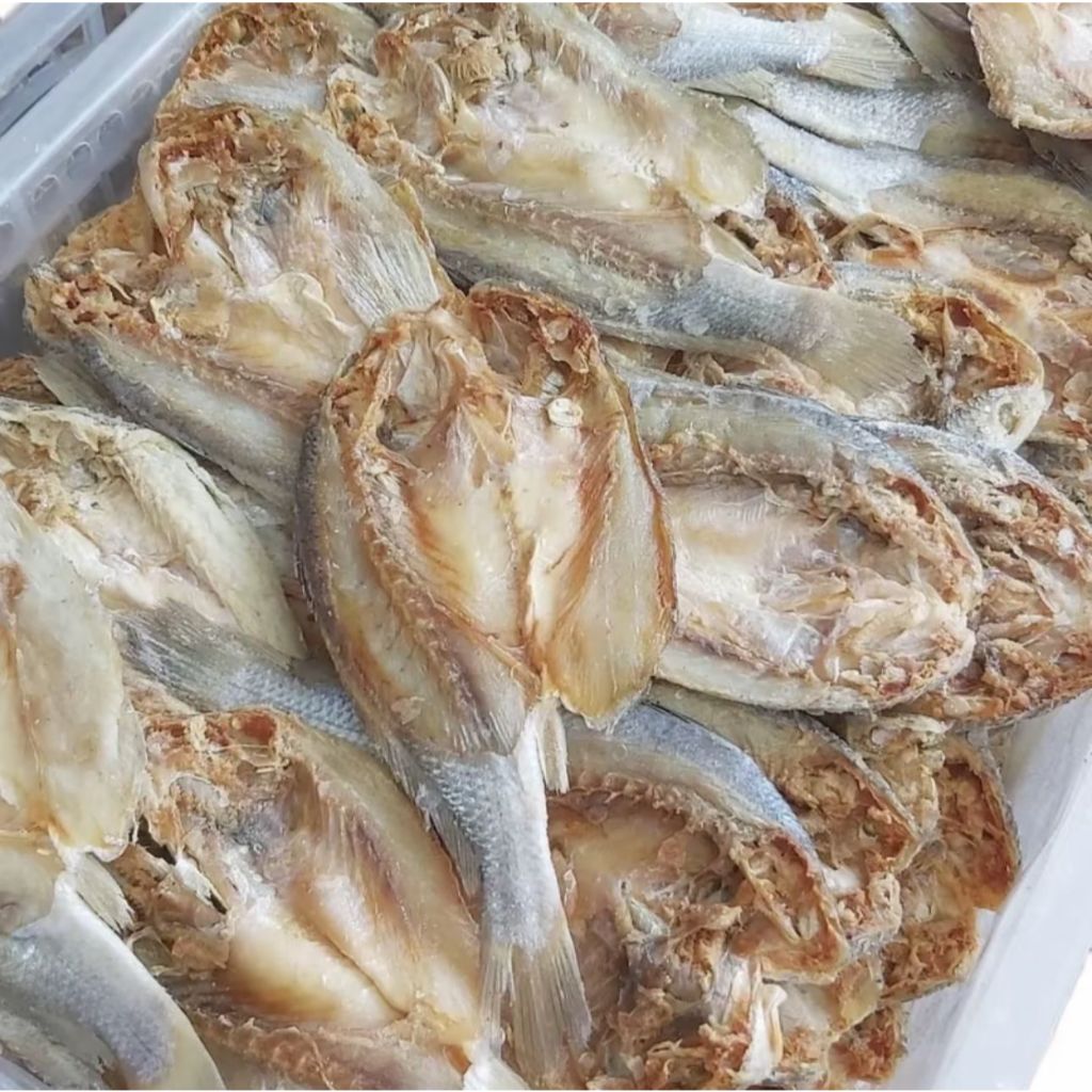 

IKAN BELAH GULAMA/KEPALA BATU