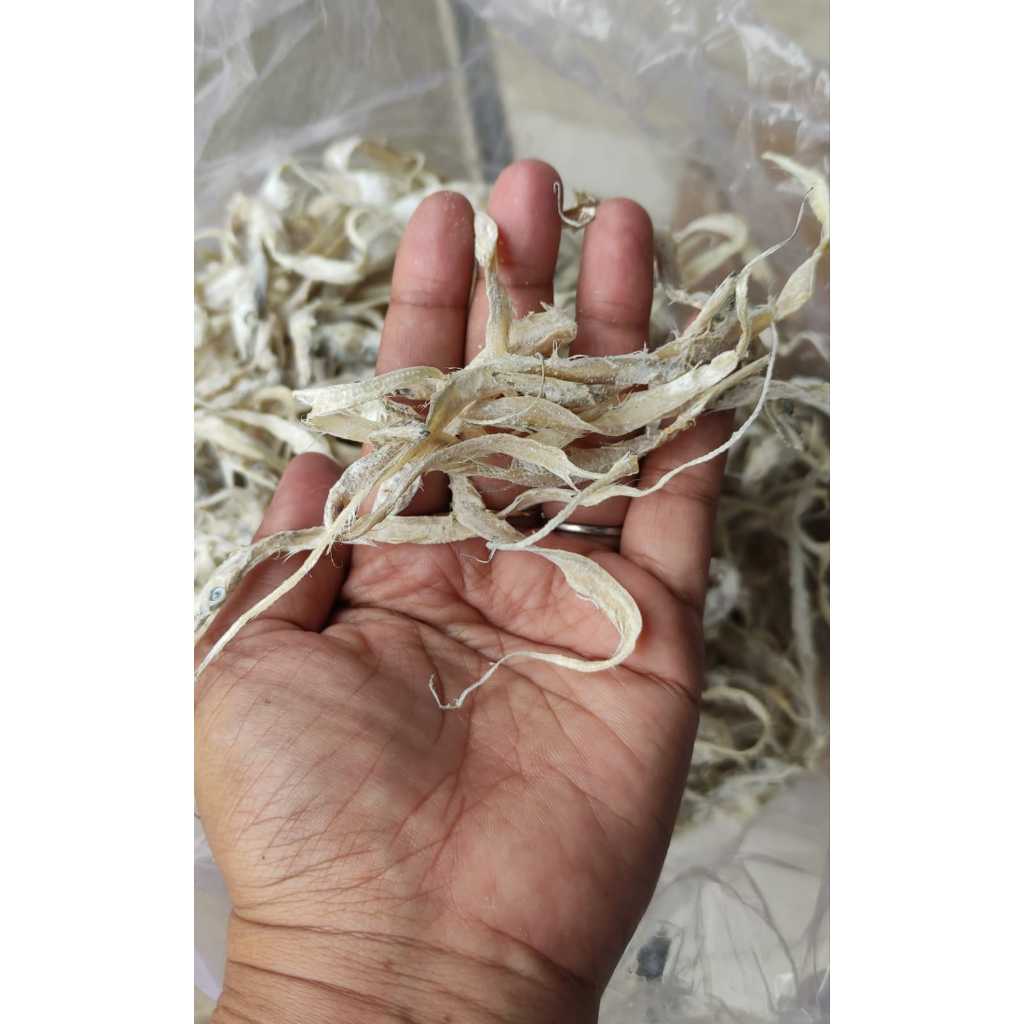

Ikan Asin Layur 500g Ikan Layur