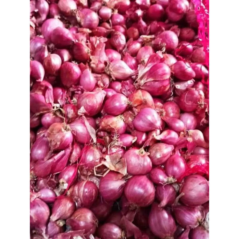 

Bawang merah brebes super segar asli 1 kg