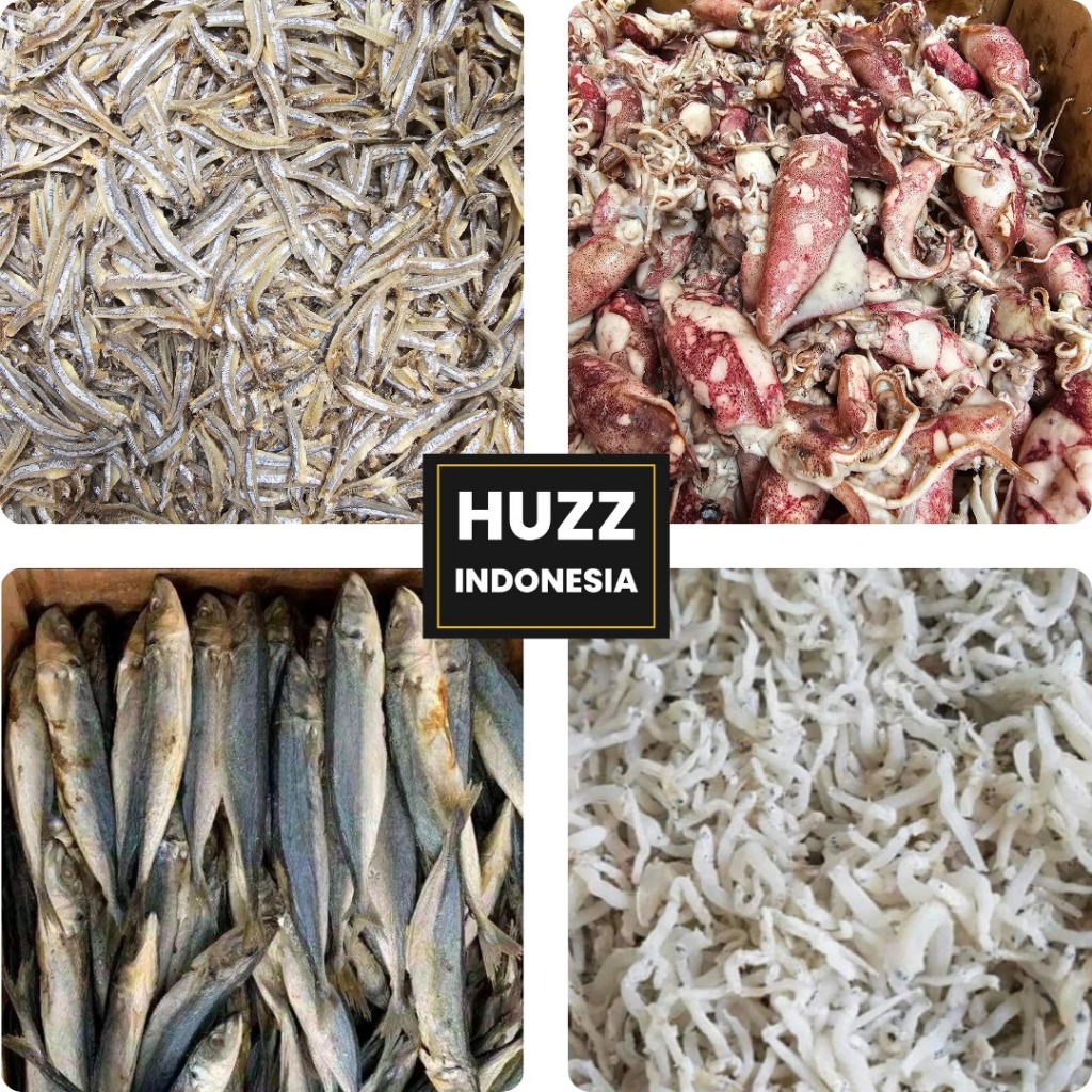 

Paket 10 Ribu Ikan Asin Cumi Asin Teri Jengki Peda Kapasan Ebi Rebon