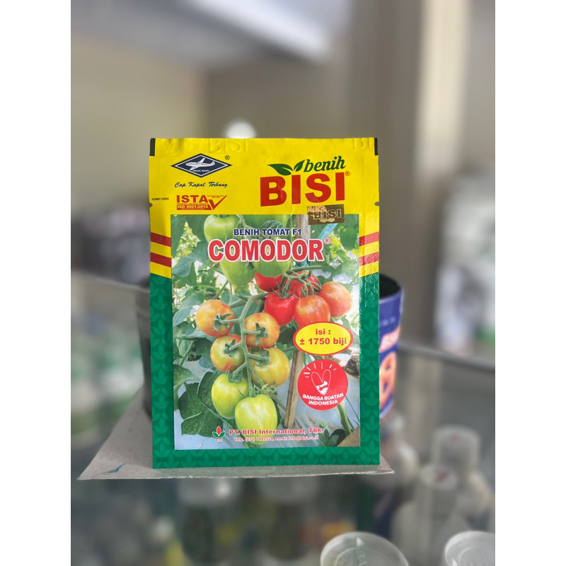 benih  tomat comodor