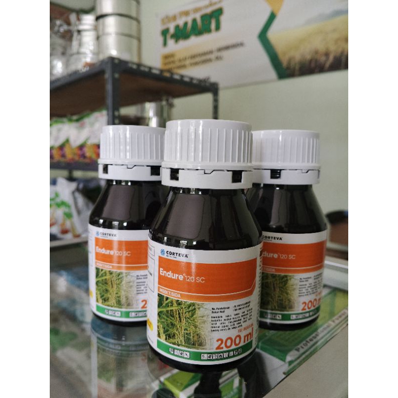 INSEKTISIDA Endure 120 SC || AMPUH Untuk ulat Grayak