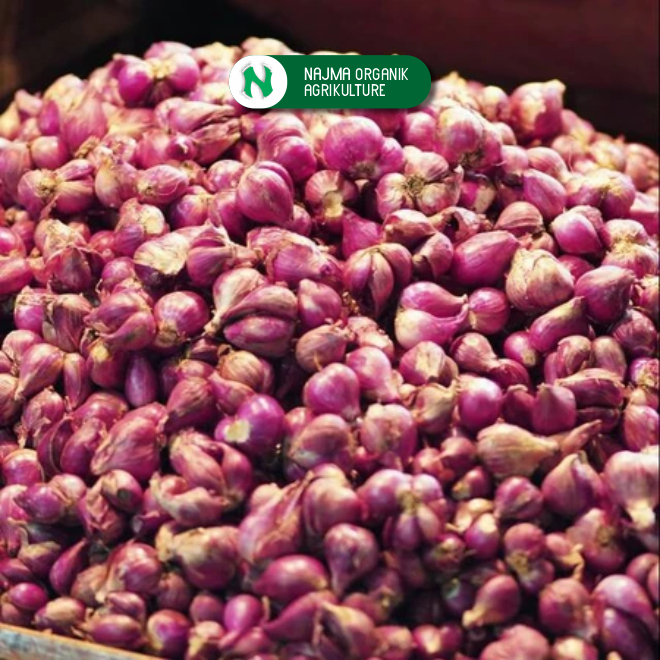 

Bawang Merah Organik 500 gram