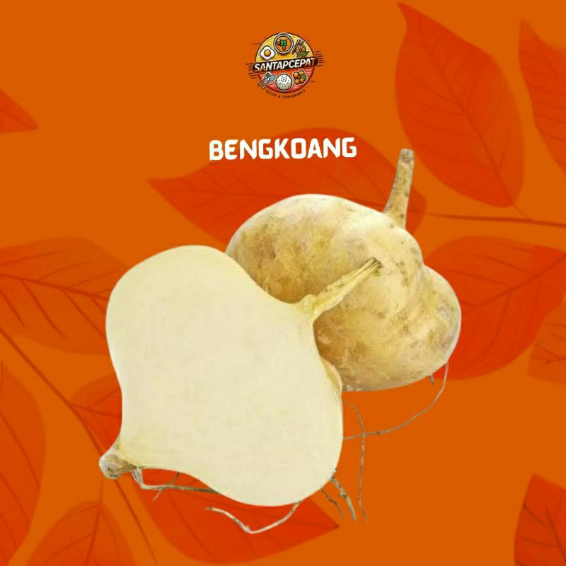 

Bengkoang Segar – Segar, Renyah, dan Menyegarkan