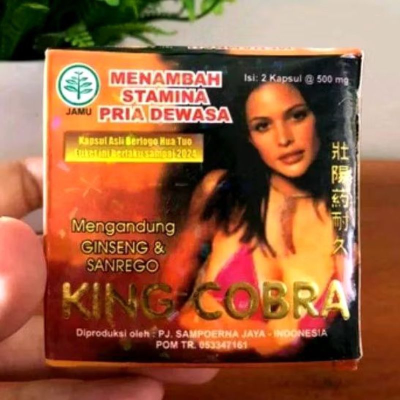 

jamu herbal tradisional king cobra