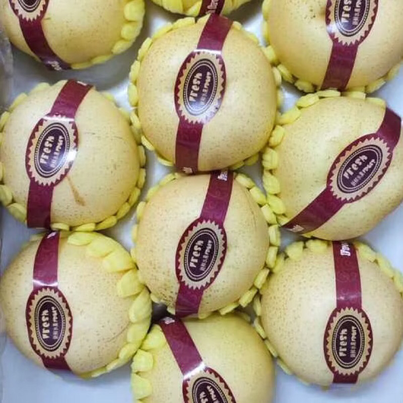 

Pear Singo Korea