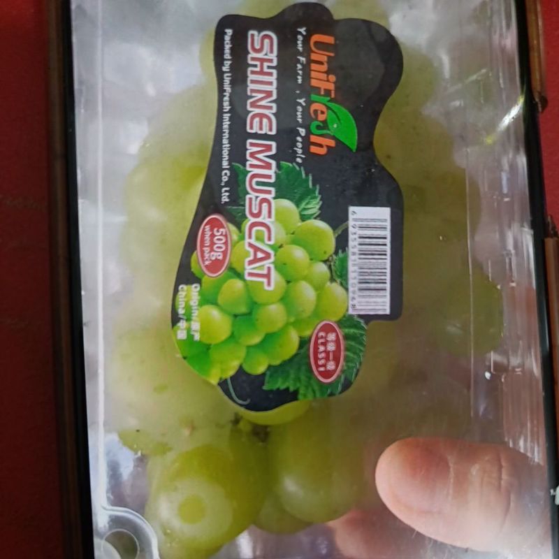 

Buah Anggur Hijau Muscat 500gr