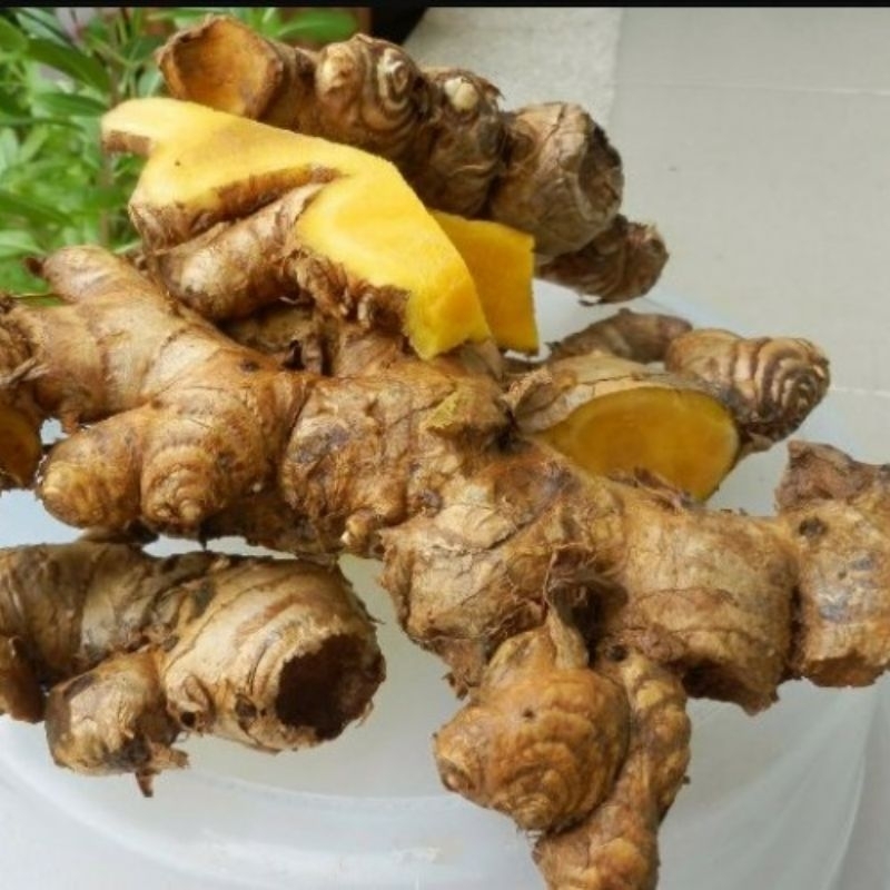 

Panglai/bangle segar 200gram