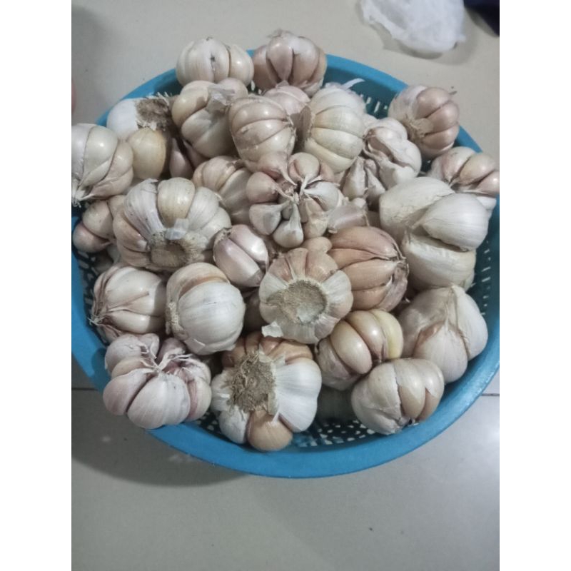 

bawang Putih bersih