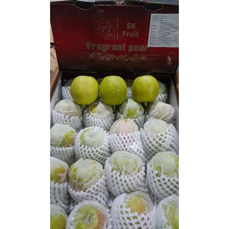 

Pier Xiangli Premium