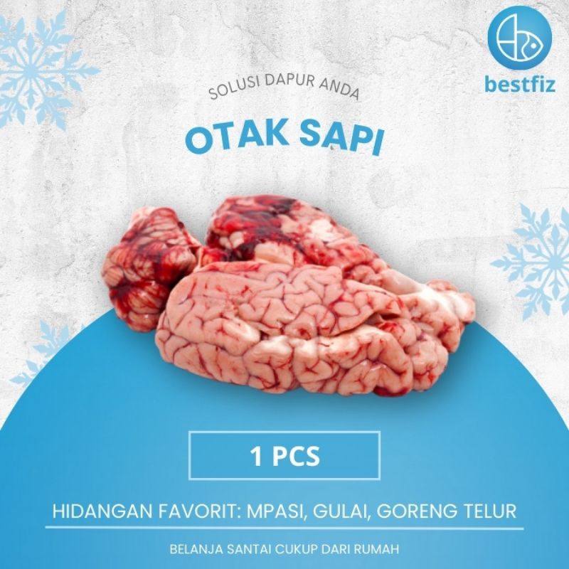 

Otak Sapi