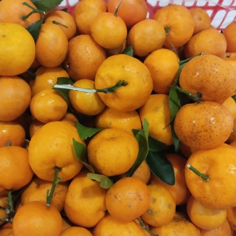 

Jeruk Santang 1kg