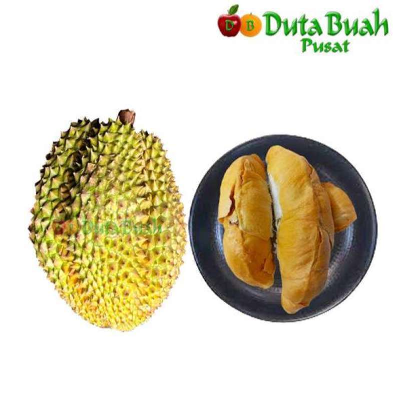

DUTA BUAH DURIAN BAWOR PREMIUM ( 2,6 kg- 3 kg)